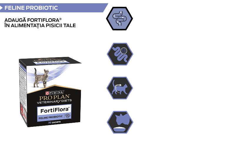 PURINA® PRO PLAN® FortiFlora® (FortiFlora). Supliment probiotic pentru pisici.