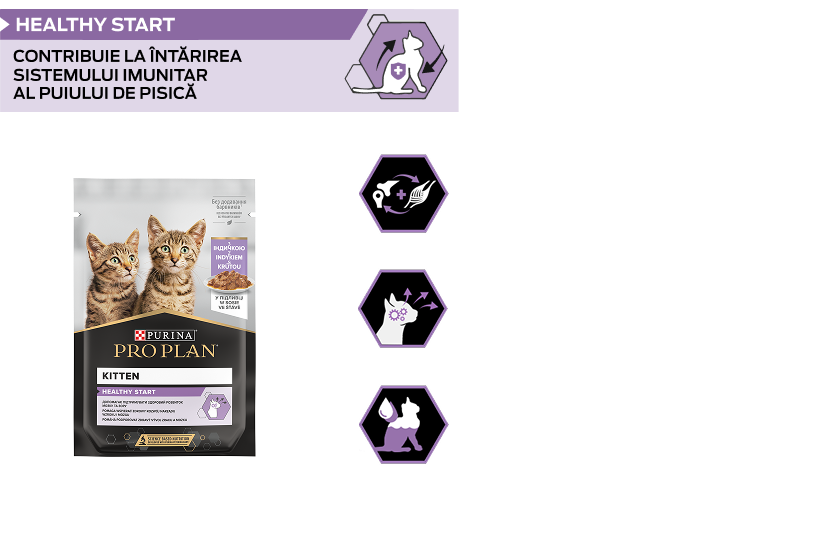PURINA® PRO PLAN® HEALTHY START. Hrană uscată completă pentru pisoi, cu pui.
